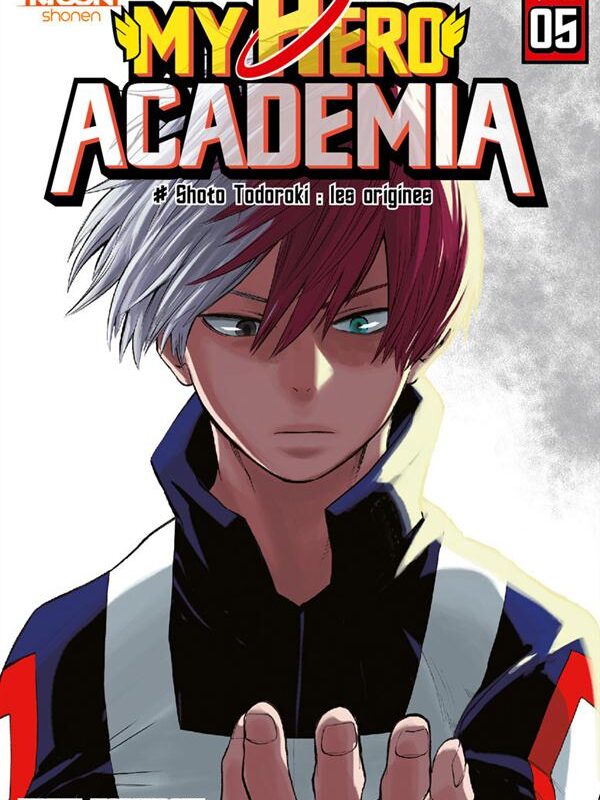 MY HERO ACADEMIA T05 - VOL05