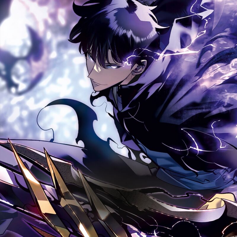 DUO SOLO LEVELING T17 + SOLO LEVELING ROMAN T02