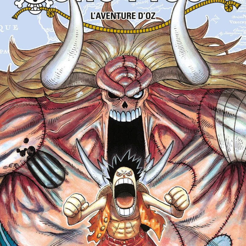 ONE PIECE - ÉDITION ORIGINALE - TOME 48