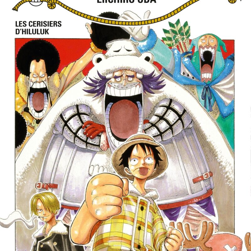ONE PIECE - ÉDITION ORIGINALE - TOME 17