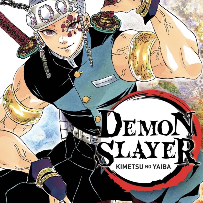 DEMON SLAYER T09
