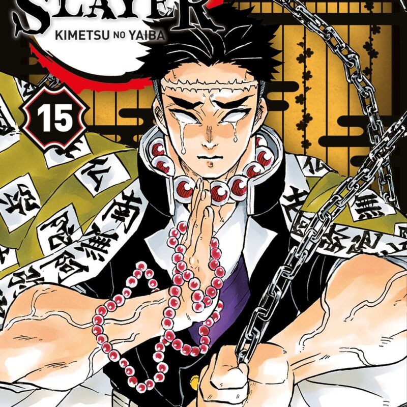 DEMON SLAYER T15