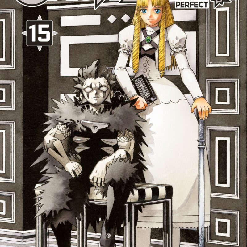 GASH BELL!! - TOME 15 - PERFECT EDITION GASH BELL!! PERFECT EDITION