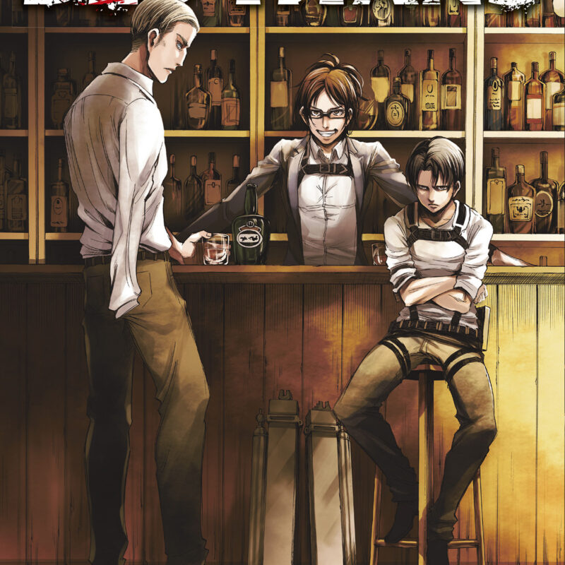 L'ATTAQUE DES TITANS T14