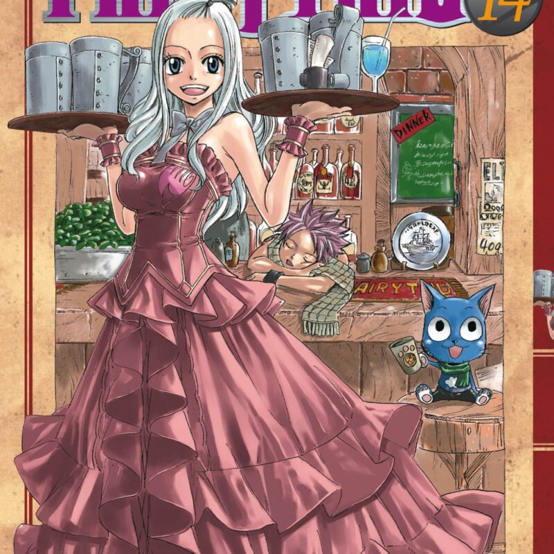 FAIRY TAIL T14