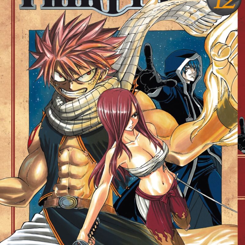 FAIRY TAIL T12