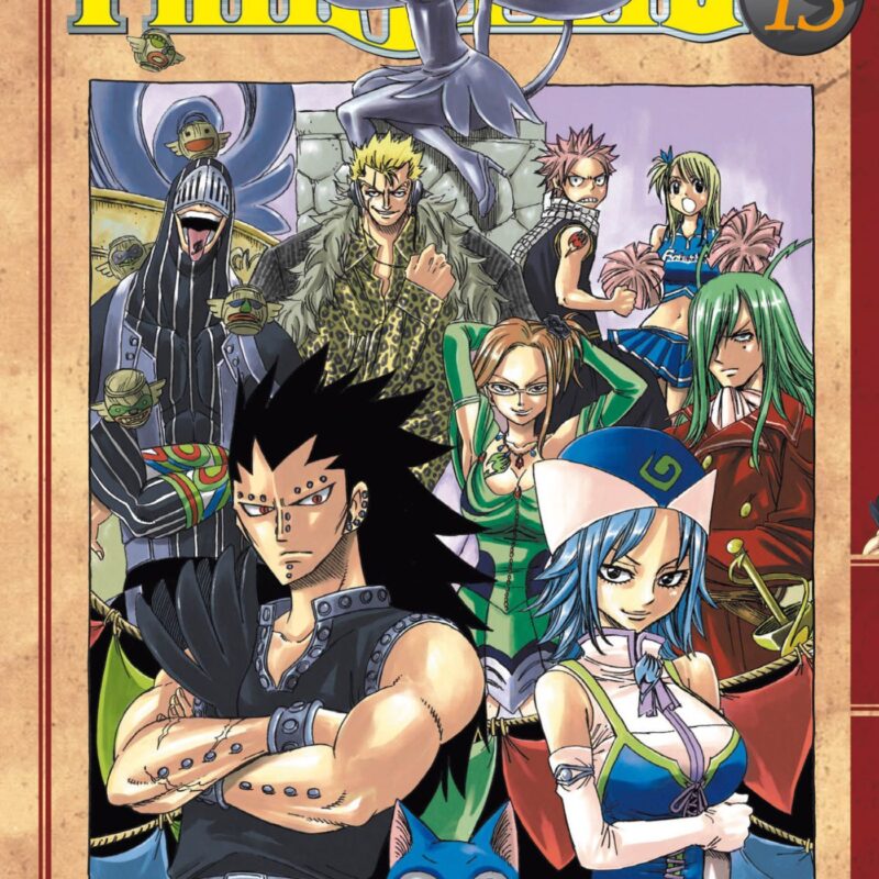 FAIRY TAIL T13