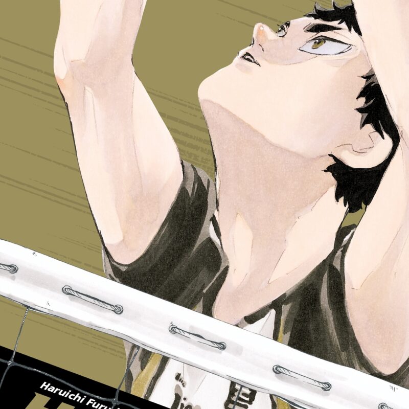 HAIKYU!! T09 SMASH ÉDITION HAIKYU !! - LES AS DU VOLLEY