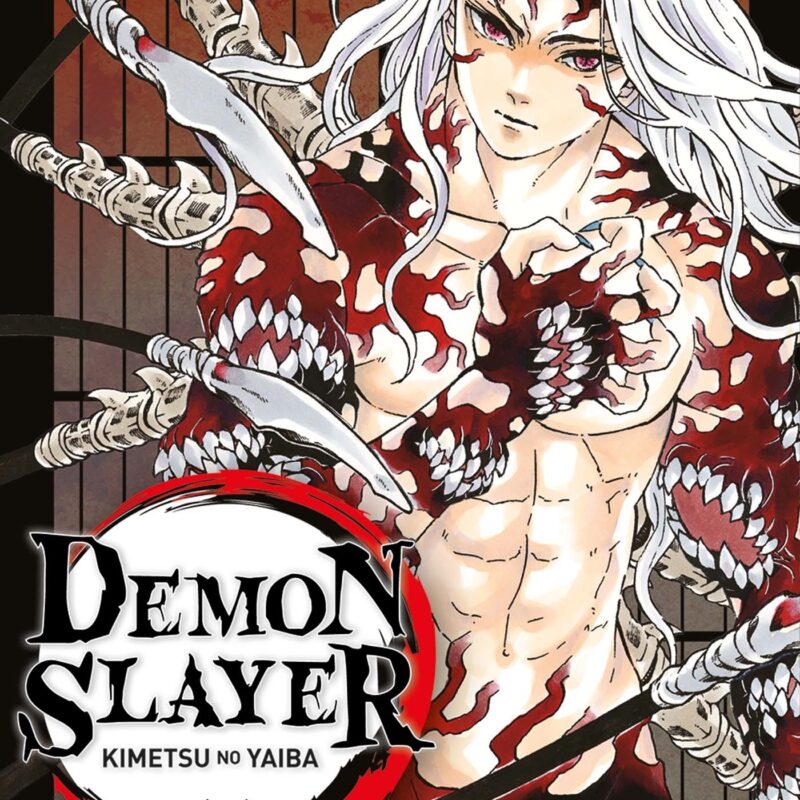 DEMON SLAYER T22