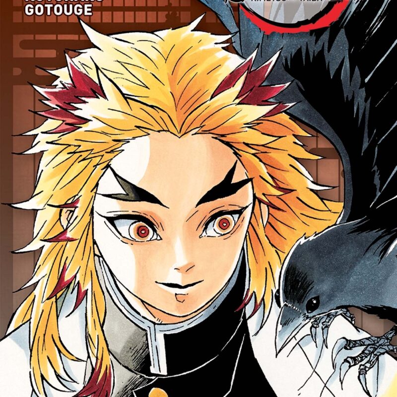 DEMON SLAYER - EDITION PILIER T02