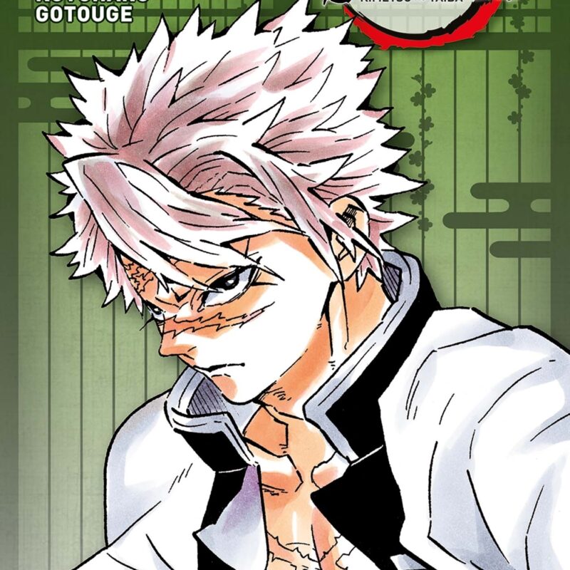 DEMON SLAYER - EDITION PILIER T06