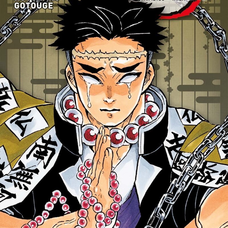 DEMON SLAYER - EDITION PILIER T05