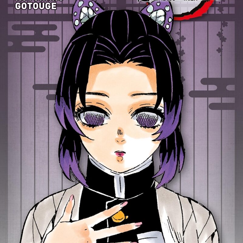 DEMON SLAYER - EDITION PILIER T07