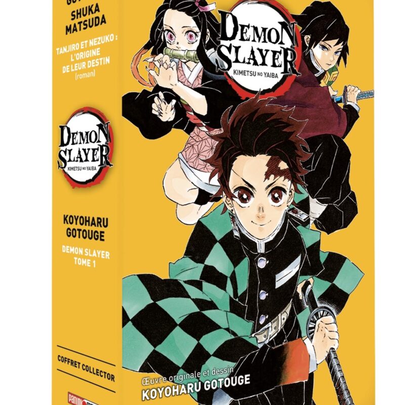 COFFRET DEMON SLAYER : ROMAN JEUNESSE N 01 + TOME 01