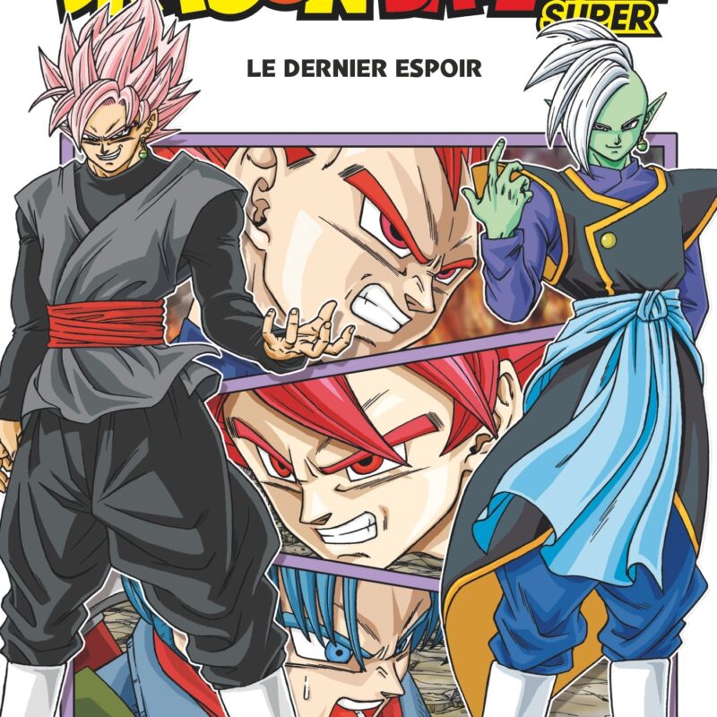 DRAGON BALL SUPER - TOME 04