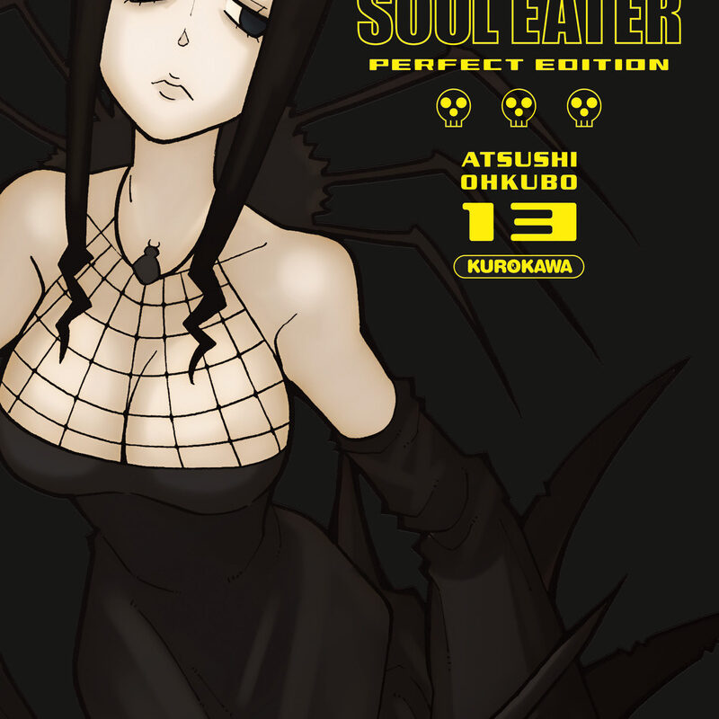 SOUL EATER PERFECT EDITION - TOME 13