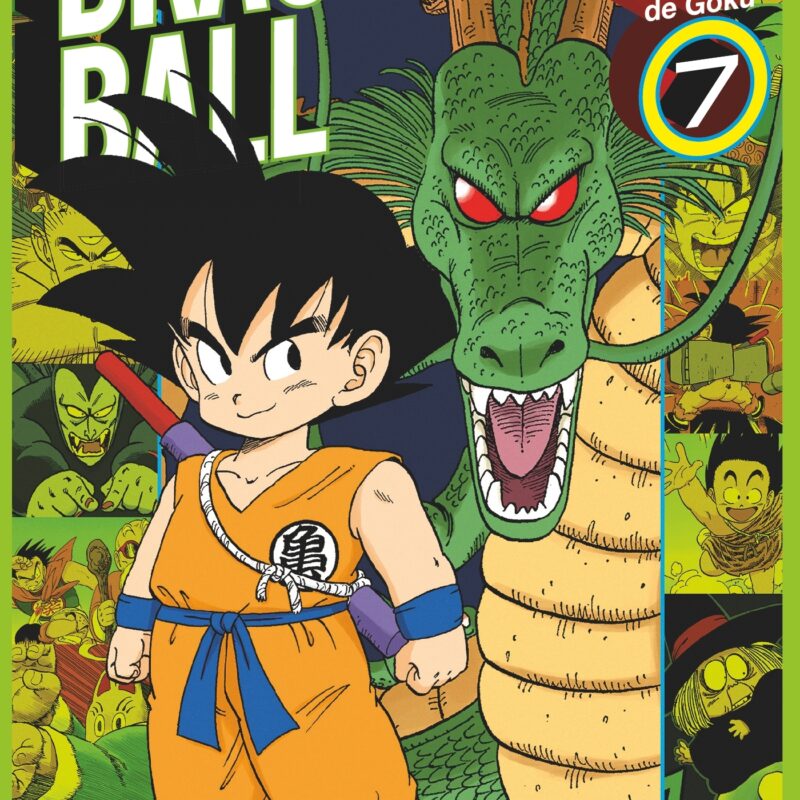 DRAGON BALL - FULL COLOR - L'ENFANCE DE GOKU - TOME 07