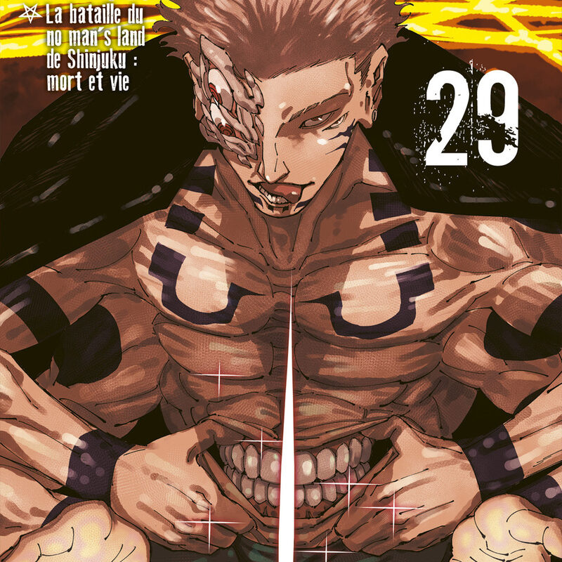 JUJUTSU KAISEN T29